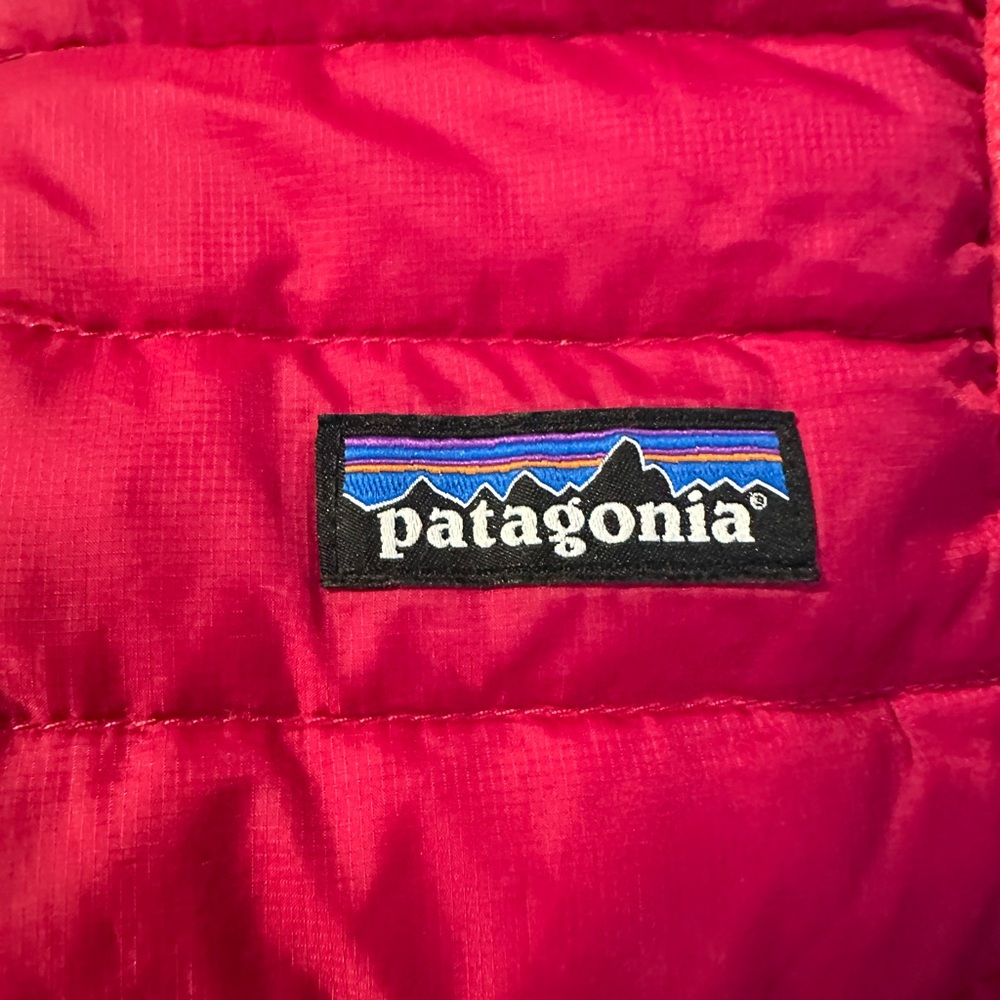 Patagonia Kids’ Down Sweater Vest - Picture 7 of 13